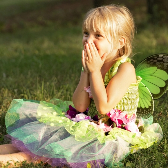 Great Pretenders Fairy Blooms Deluxe Dress with Wings sz 3 - 4 - Picture 5 of 11